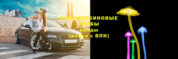 прущая мука Армянск