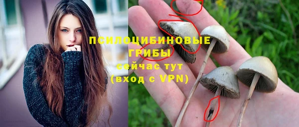 прущая мука Армянск